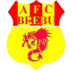 https://img.beear.com.cn/img/football/team/45b0252bb0f9c1479d285a103c0bc564.png